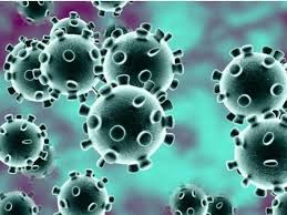 Coronavirus (COVID-19) Image